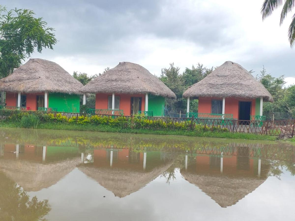 Hotel Nature Camp Bhitarkanika Retreat Righāgarh Exterior foto